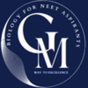Profile picture of G. Meher